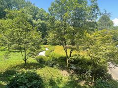 -上海佘山国家森林公园天马山园