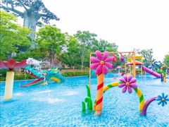 -苏州乐园森林水世界