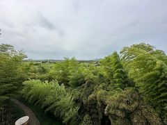 -良渚古城遗址公园