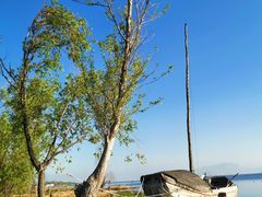 -洱海月湿地公园