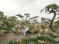 -罗红摄影艺术馆