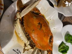 -老号尤兔头(幸福店)