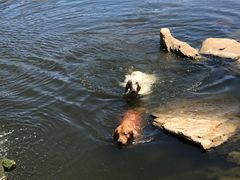 -永定河休闲森林公园