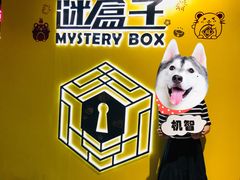 -谜盒子奇幻密室(南屏店)