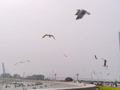 -星海广场