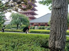 -浅草寺