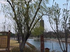 -西海子公园