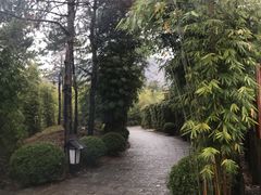 -崇阳三特浪口温泉