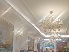 -野菌园·野生菌火锅首创第一家(关兴路总店)