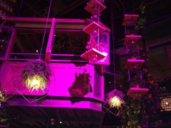 -胡桃里音乐酒馆(曲江店)