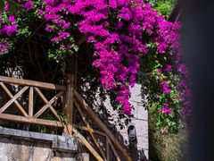 -高荡千年布依古寨旅游景区