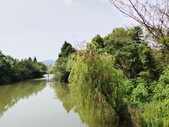 -苏州太湖国家湿地公园