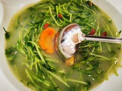 上汤豆苗-岭南海晏楼(东晓南店)