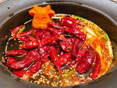 -大胖骨汤火锅(裕华店)