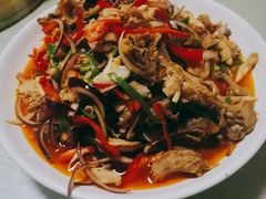 -煲来饱去冷水鱼