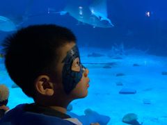 -烟台海昌鲸鲨海洋公园