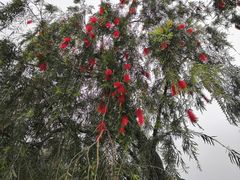 -白鹭湾湿地公园