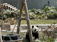 -柳州市动物园