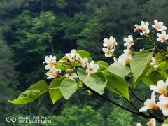 -溪口-滕头旅游景区