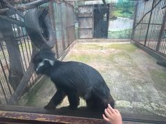 -昆明动物园