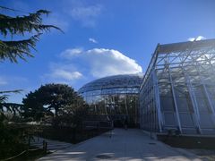 -北京植物园-展览温室