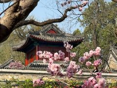 -红螺寺
