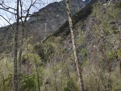 -叠溪松坪沟景区