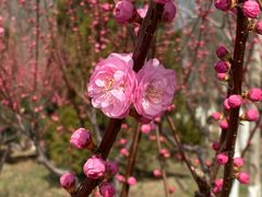 -永定河休闲森林公园