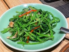 -mango tree芒果树餐厅(K11店)