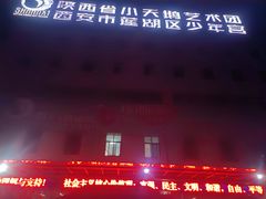 -陕西省小天鹅艺术团