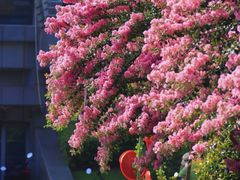 -杭州城北体育公园