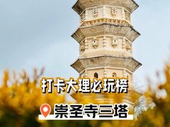 -崇圣寺三塔文化旅游区