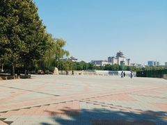-莲花池公园