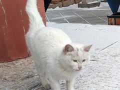 -东方削面(操场城街店)