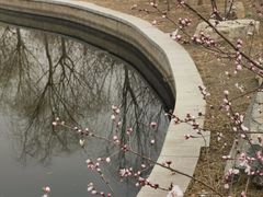 -南开大学(津南校区)