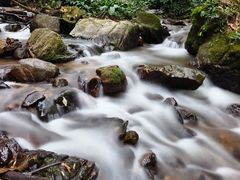 -莫里热带雨林景区