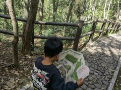 -上海佘山国家森林公园天马山园