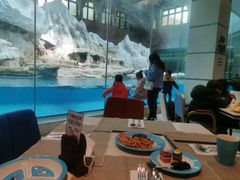 -帝企鹅自助餐厅•儿童岛•真企鹅(长隆企鹅酒店)