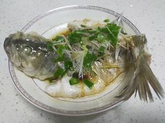 -田螺阿姨自营月嫂·育儿嫂(高新店)