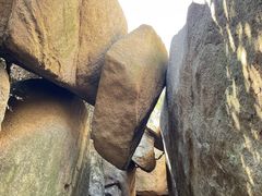 -鲁山国家森林公园