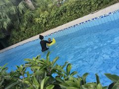 -重庆海昌加勒比海水世界