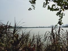 -韦记牛杂汤(清晖园店)