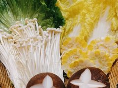 -麻小度青花椒鱼蛙火锅