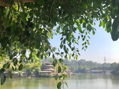 -乡村酒家·湖景客家菜(观澜店)