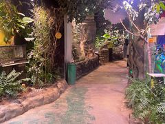 -正佳雨林生态植物园