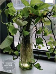 -尚艺造型.剪烫染.接发