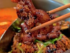 -蓉客成都火锅·招牌麻辣牛杂·特色香辣蹄花(凌水店)