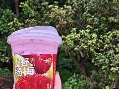 -新时沏奶茶(瑞安马屿店)