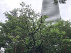 -瑰丽酒店·海吧·天际下午茶·现场DJ·天台酒吧