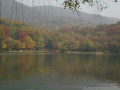 -紫霞湖公园